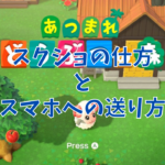 【あつまれどうぶつの森】スクショの仕方とスマホへの送り方！簡単に録画も出来て送信できる！